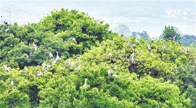 包含苹果天堂文件欧洲新闻的词条-第2张图片-太平洋在线下载