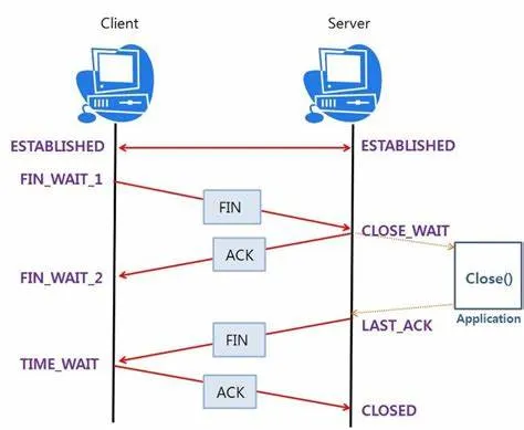 tcp服务端客户端区别tcpip协议客户端和服务器