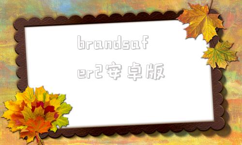 brandsafer2安卓版brandymellvie中国官网